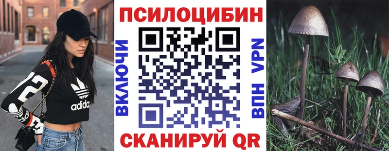 MEGA зеркало  Магнитогорск  Галлюциногенные грибы Magic Shrooms 